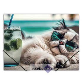   Gumis mappa, 15 mm, PP, A4, PANTA PLAST "Chillout cat"