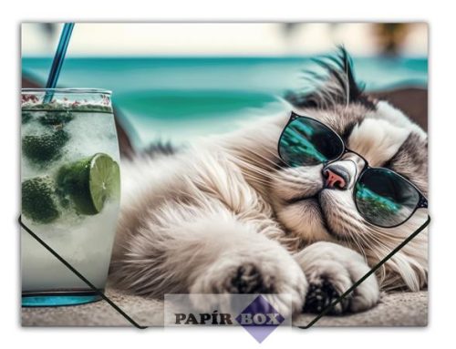 Gumis mappa, 15 mm, PP, A4, PANTA PLAST "Chillout cat"