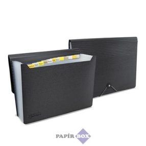   Harmonikamappa, A4, PP, 13 rekeszes, RAPESCO "Germ-Savvy™", matt fekete