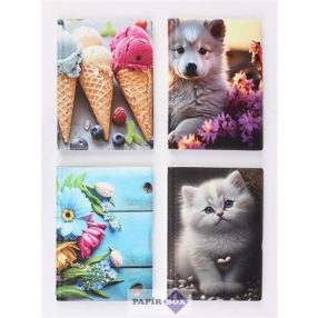   Igazolványtartó, álló, 10 betét lappal, mintás PVC, "Bővített személyi", lány