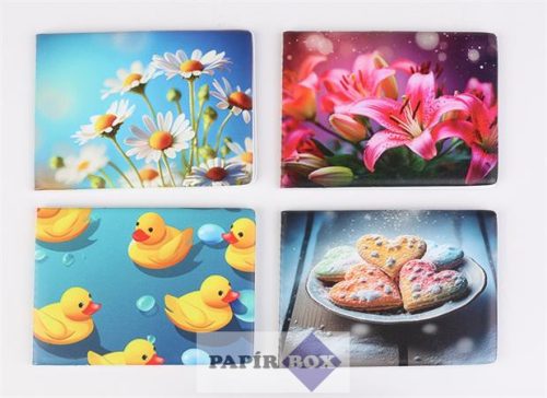 Diák- és igazolványtartó, fekvő, 6 betét lappal, mintás PVC, "Többlapos", lányos minták