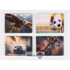   Diák- és igazolványtartó, fekvő, 6 betét lappal, mintás PVC, "Többlapos", fiús minták