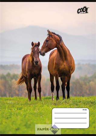 Füzet, tűzött, A/5, vonalas, 32 lap, 1. osztály, COOL BY VICTORIA "Free Spirit", "14-32"