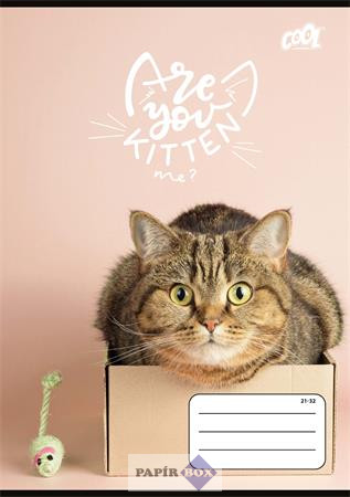Füzet, tűzött, A/5, vonalas, 32 lap, 4-8. osztály, COOL BY VICTORIA "Cats Forever", "21-32"