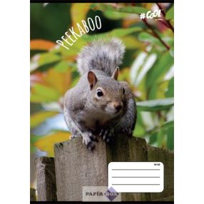   Füzet, tűzött, A/5, vonalas, 32 lap, 2. osztály, COOL BY VICTORIA, "Peekaboo", "16-32"