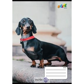   Füzet, tűzött, A/5, kockás, 32 lap, COOL BY VICTORIA, "Hounds", 27-32