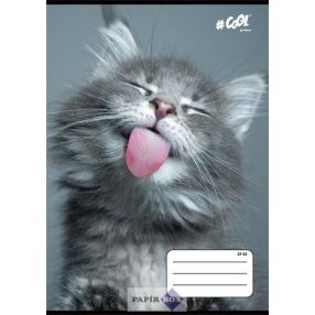   Füzet, tűzött, A/5, kockás, 32 lap, COOL BY VICTORIA, "Cats", 27-32