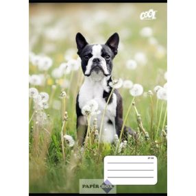   Füzet, tűzött, A/5, kockás, 32 lap, COOL BY VICTORIA "B&W dogs", "27-32"
