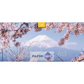 Asztali naptár, álló, DAYLINER "Képes világ"