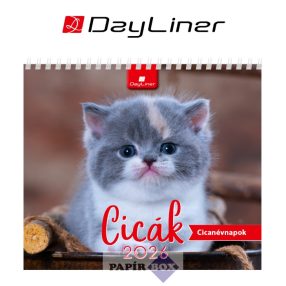 Naptár, asztali, álló, DAYLINER "Cicák"