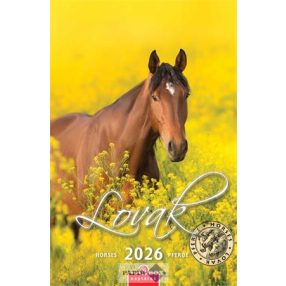 Falinaptár, 2026. CSG "Lovak"