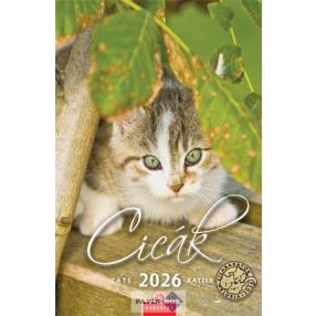Falinaptár, 2026., CSG, "Cicák"