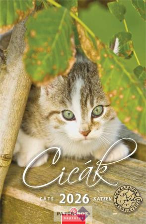 Falinaptár, 2026., CSG, "Cicák"