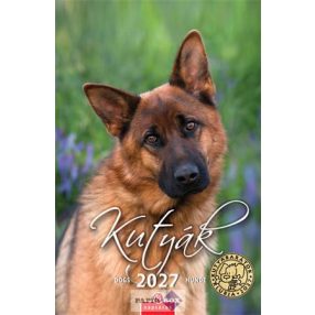 Falinaptár, 2027., CSG "Kutyák"