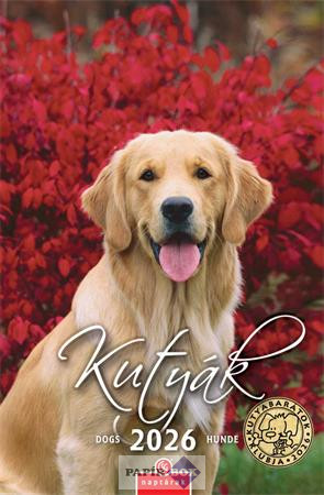 Falinaptár, 2026., CSG "Kutyák"