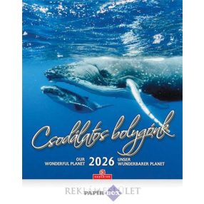 Falinaptár, 2026., CSG, "Csodálatos bolygónk"