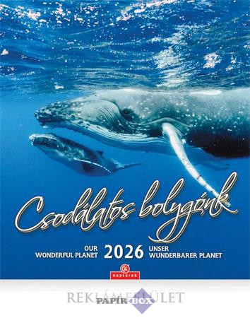 Falinaptár, 2026., CSG, "Csodálatos bolygónk"