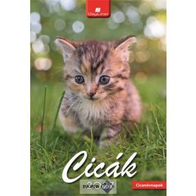 Falinaptár, 2027, Dayliner, Cicák