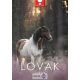 Naptár, fali, 2027., DAYLINER, "Lovak"