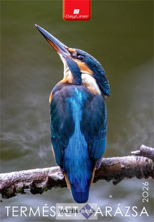 Falinaptár, 2026., DAYLINER, "Természet varázsa"