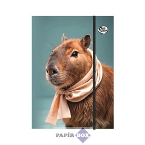 Gumis mappa, karton, A/4, OPTISCHOOL "Capybara"