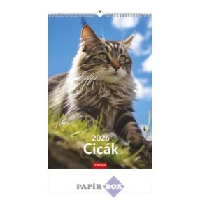 Falinaptár, 2026., TOPTIMER, "Cicák"