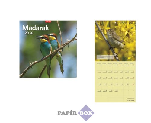 Falinaptár, lemeznaptár, 2026., TOPTIMER "Madarak"