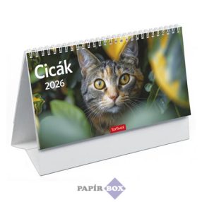 Asztali naptár, 2026., álló, TOPTIMER, "Cicák"