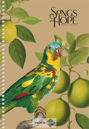 Spirálfüzet, A/5, sima, 96 lap, SHKOLYARYK "Songs of Hope", vegyes